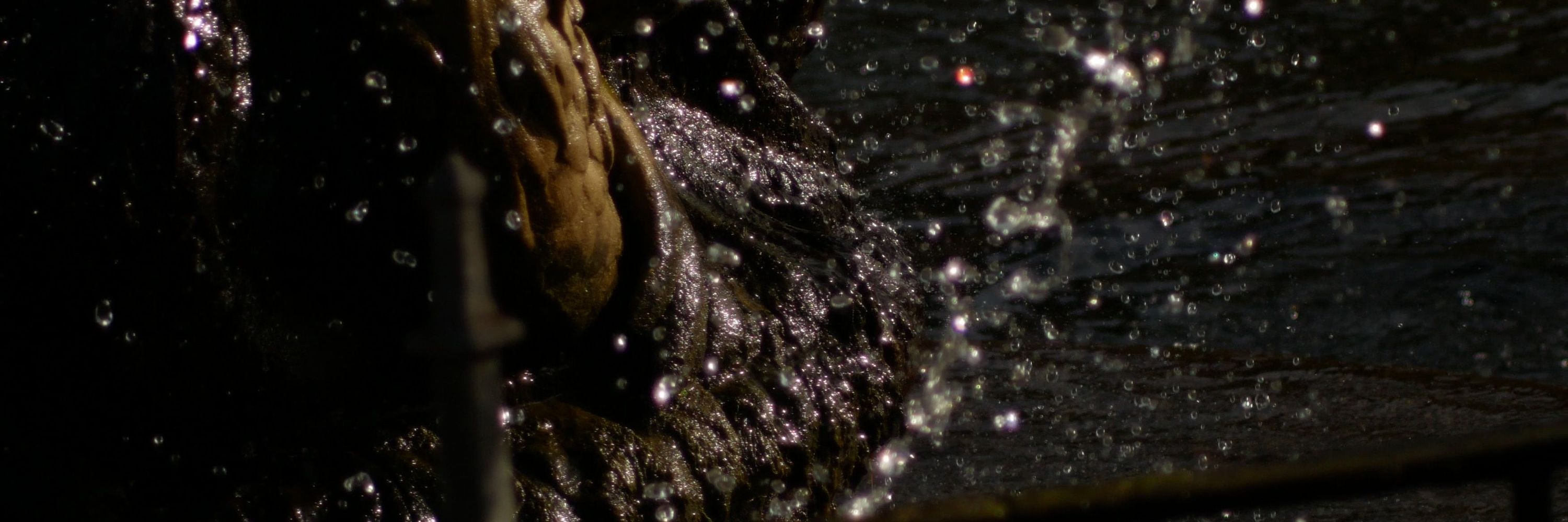 The Prophet Cassandra