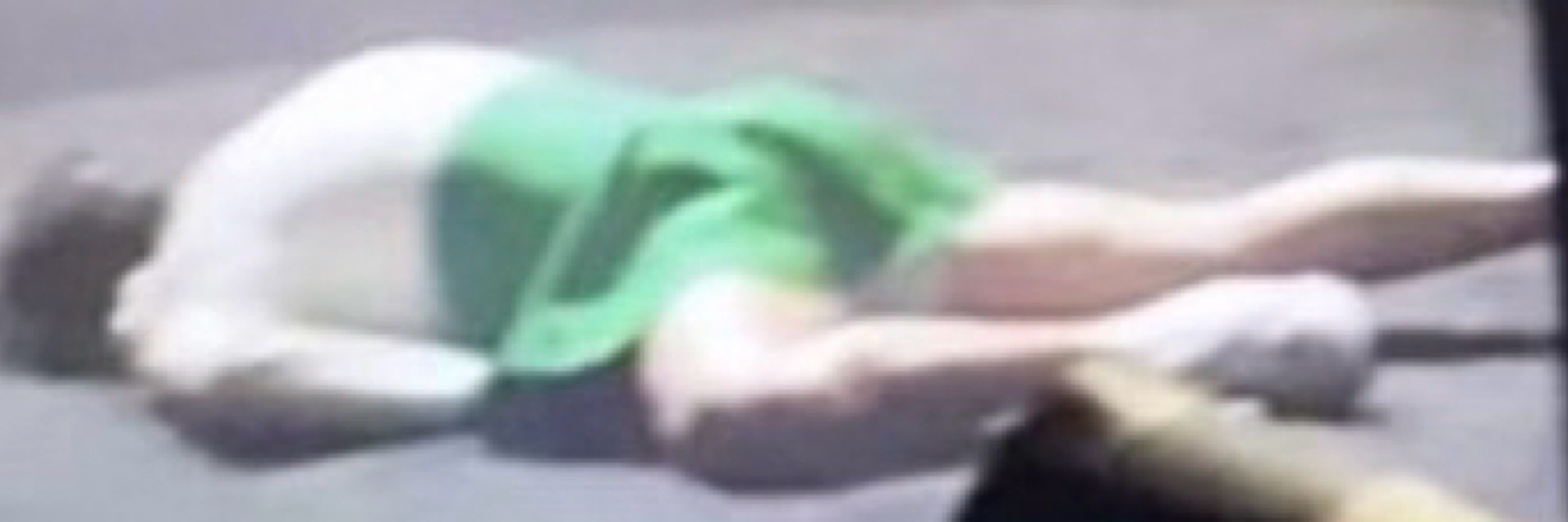 sam