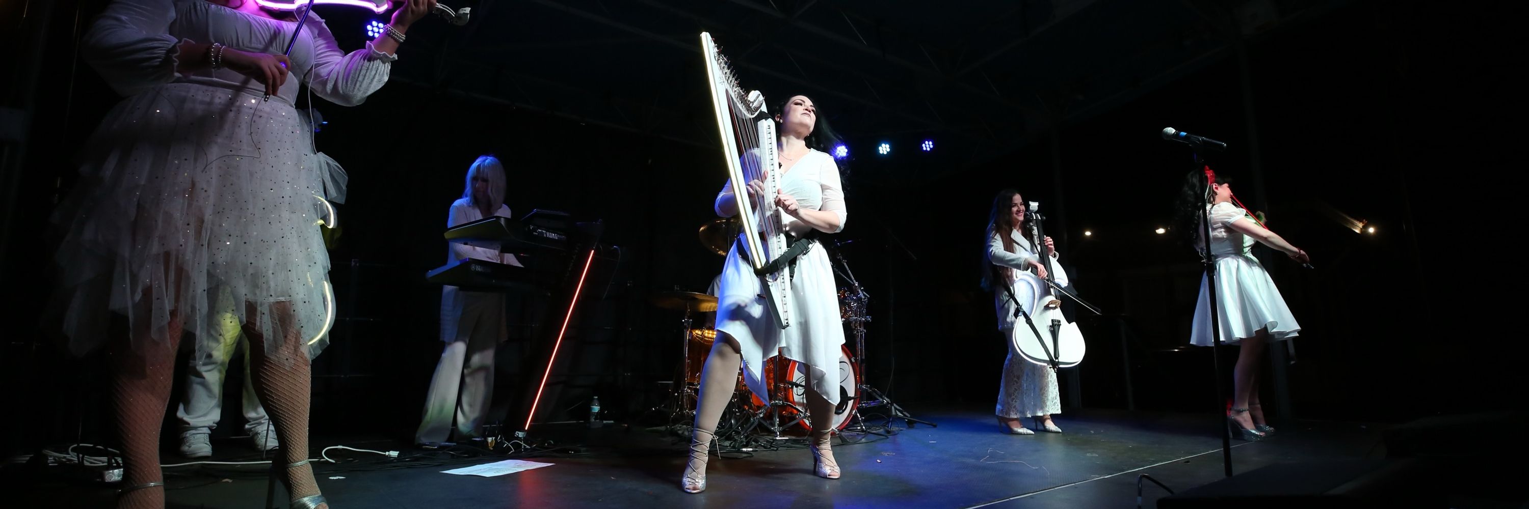 Mad Harpist