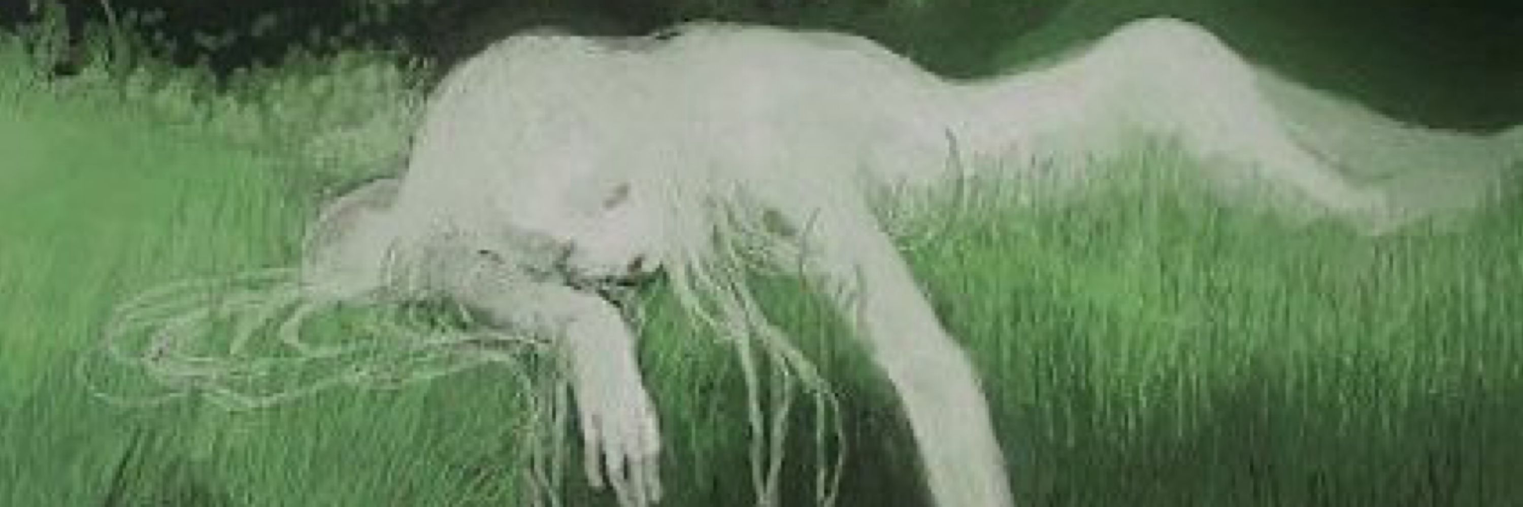 Acidgaarden