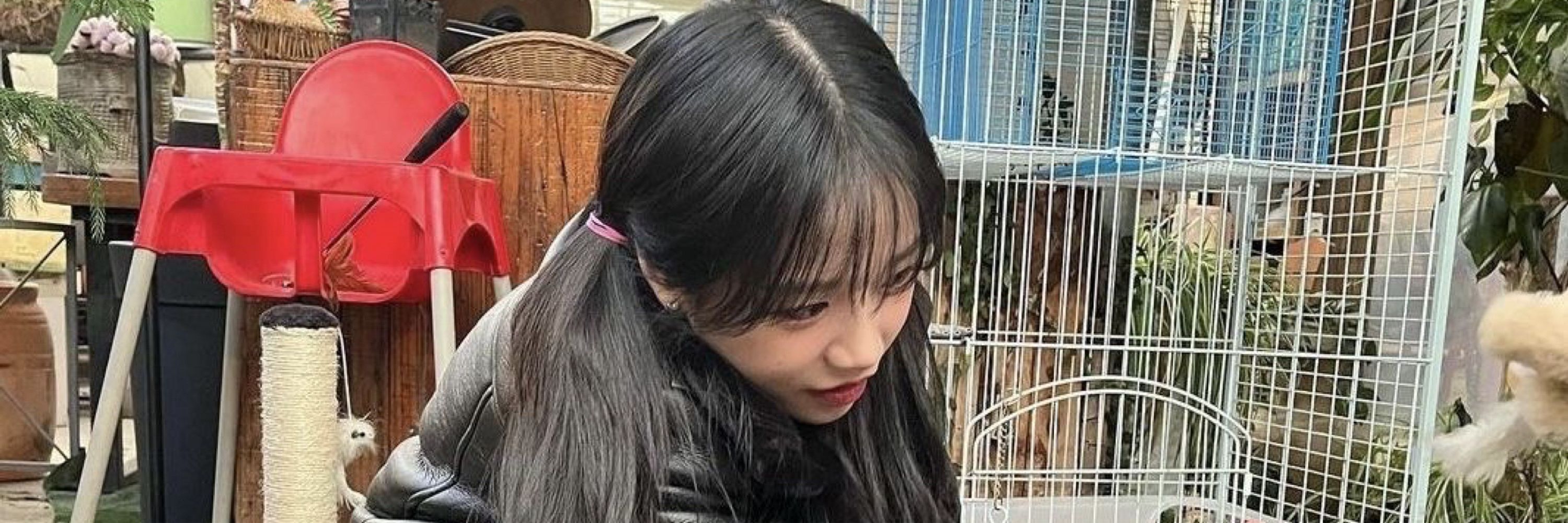nico
