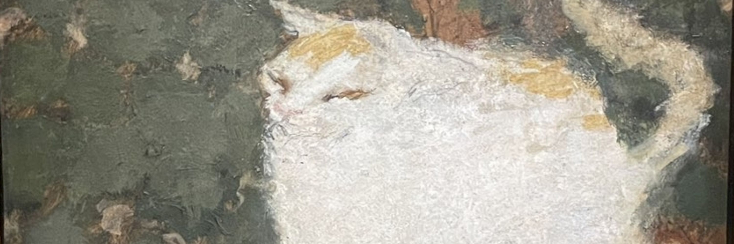 ve