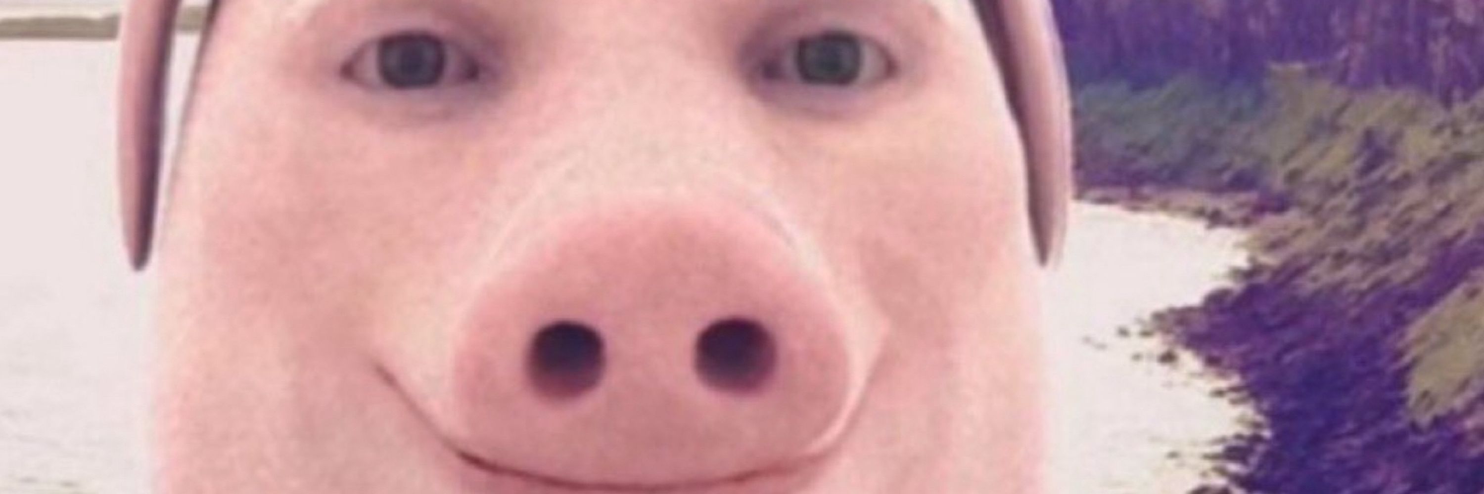 josh