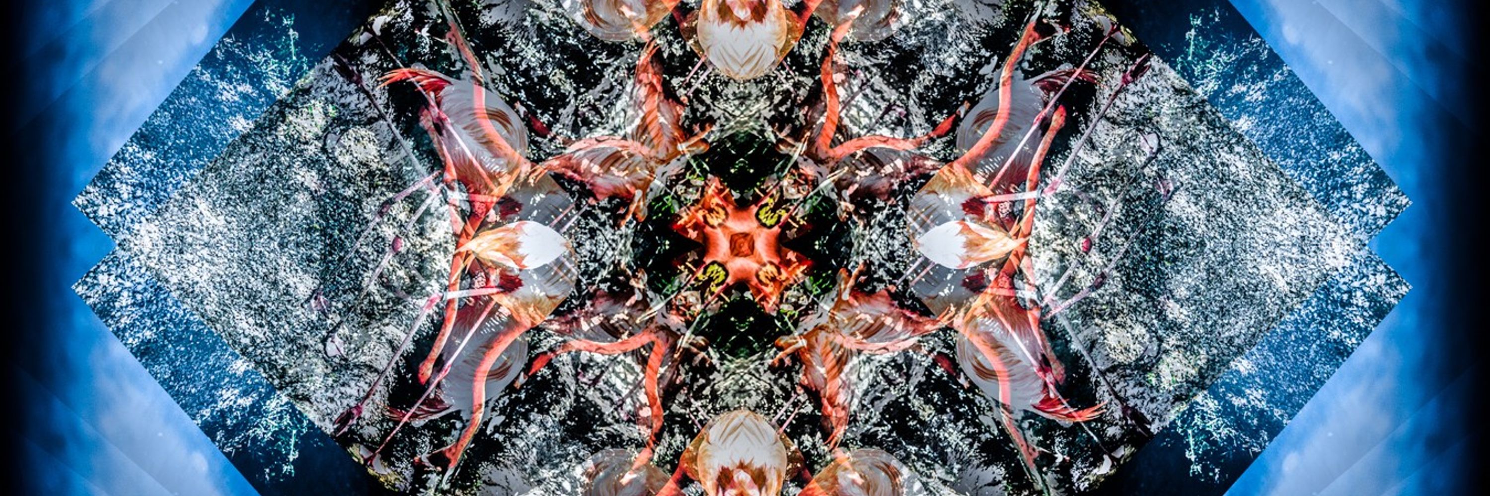 Psychetriptik