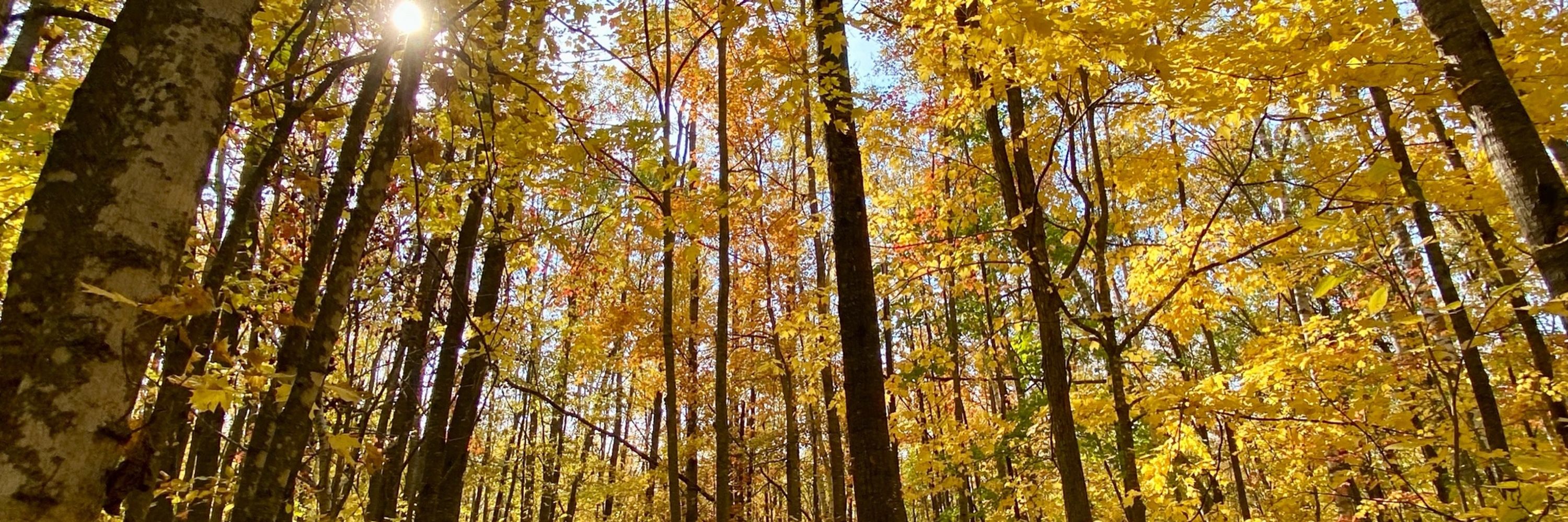  jwalk outside 🍁 🦋 🪶