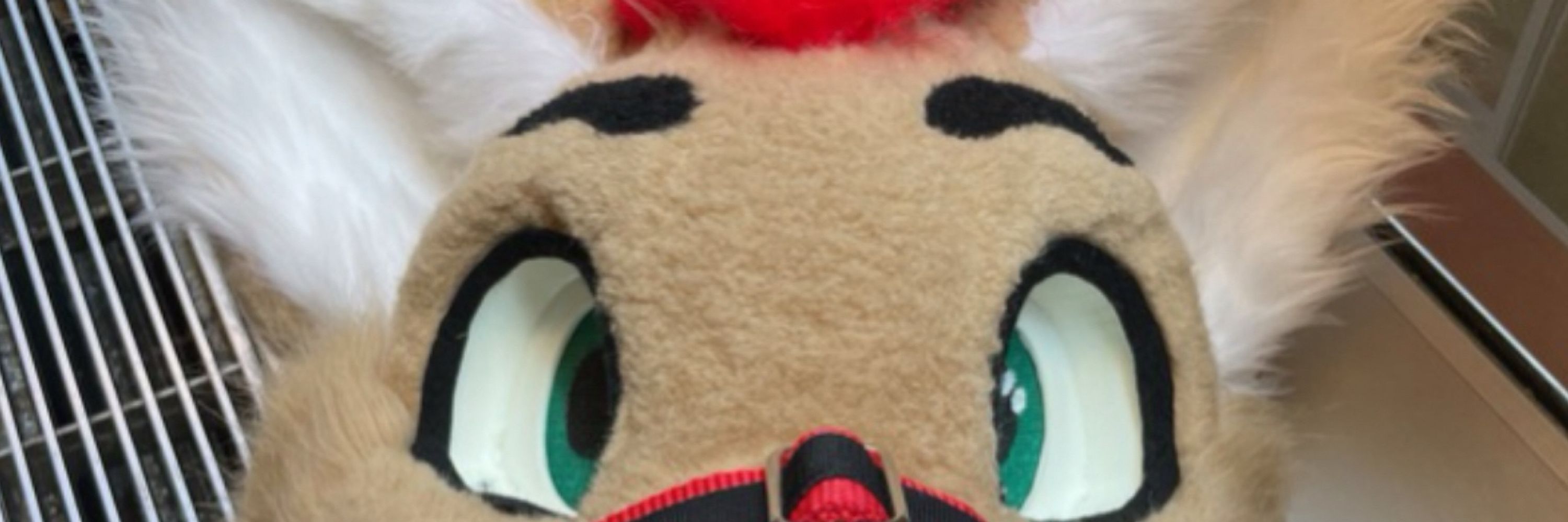 ZynPubby