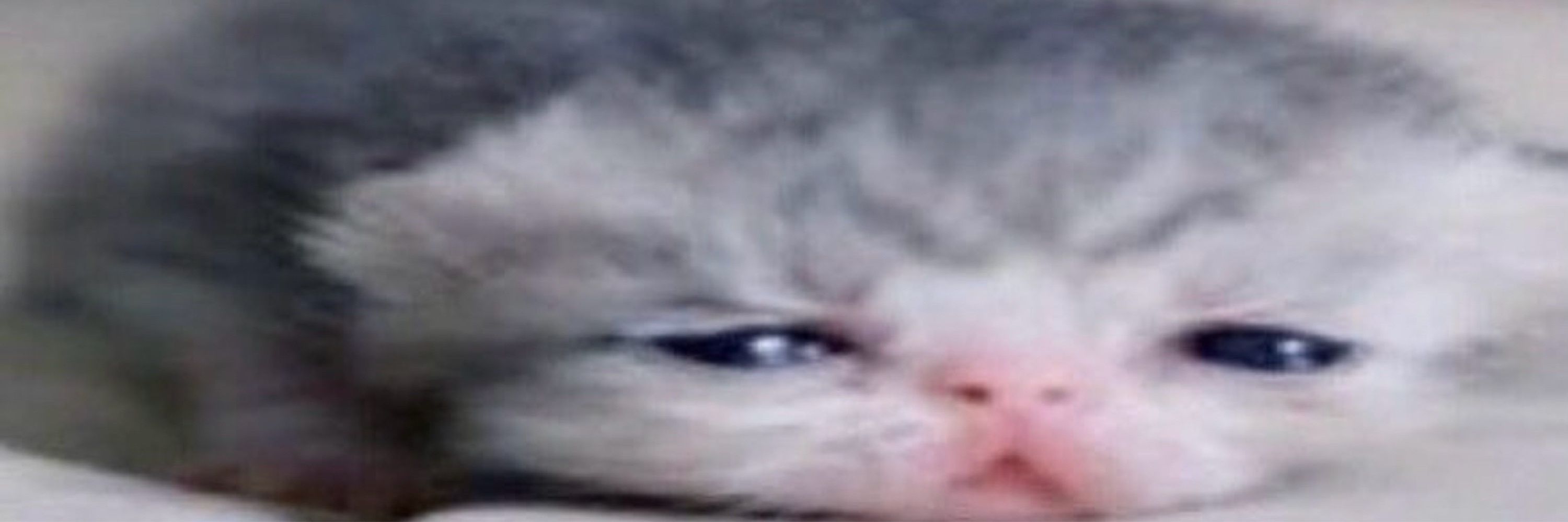 blarg