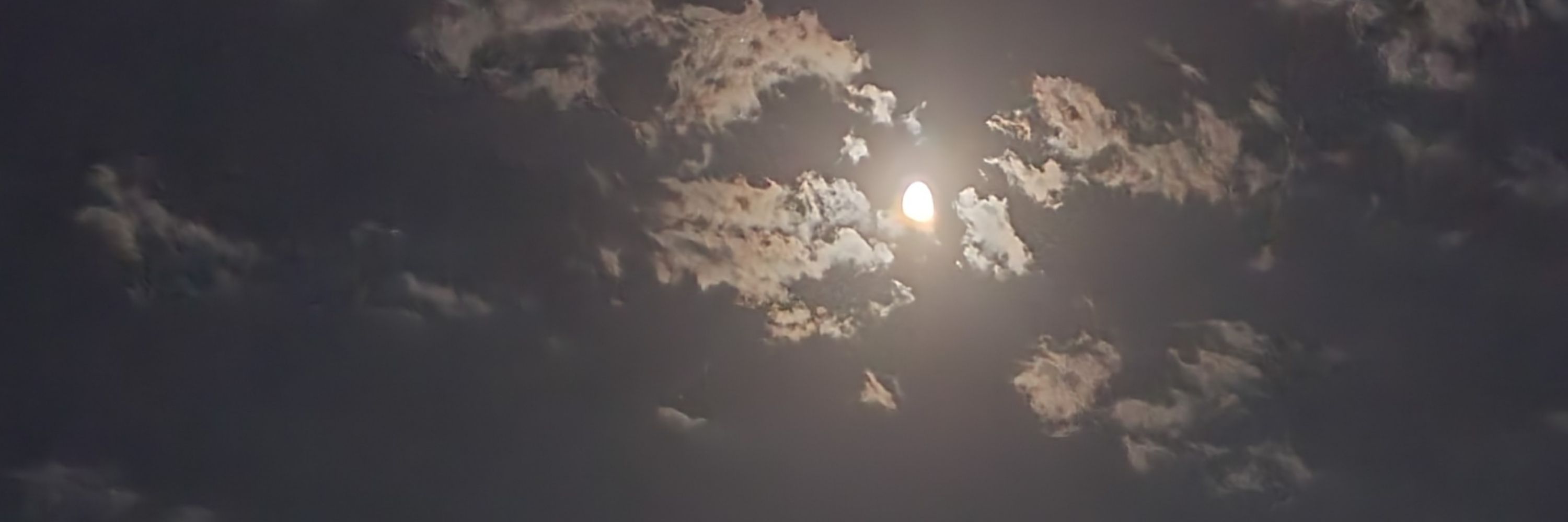 Gece Kutsalı