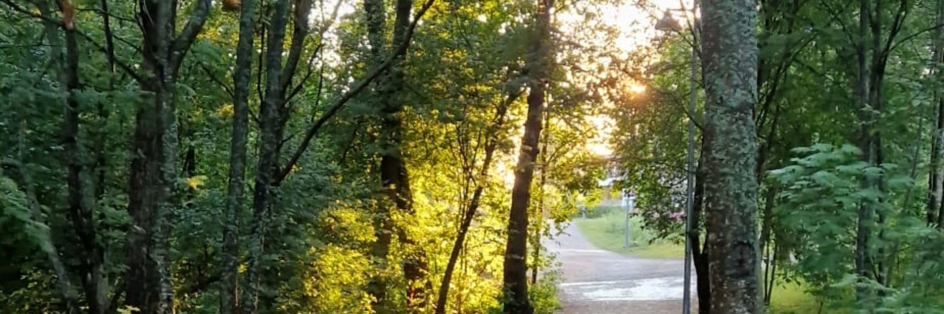 Salla Närhinen