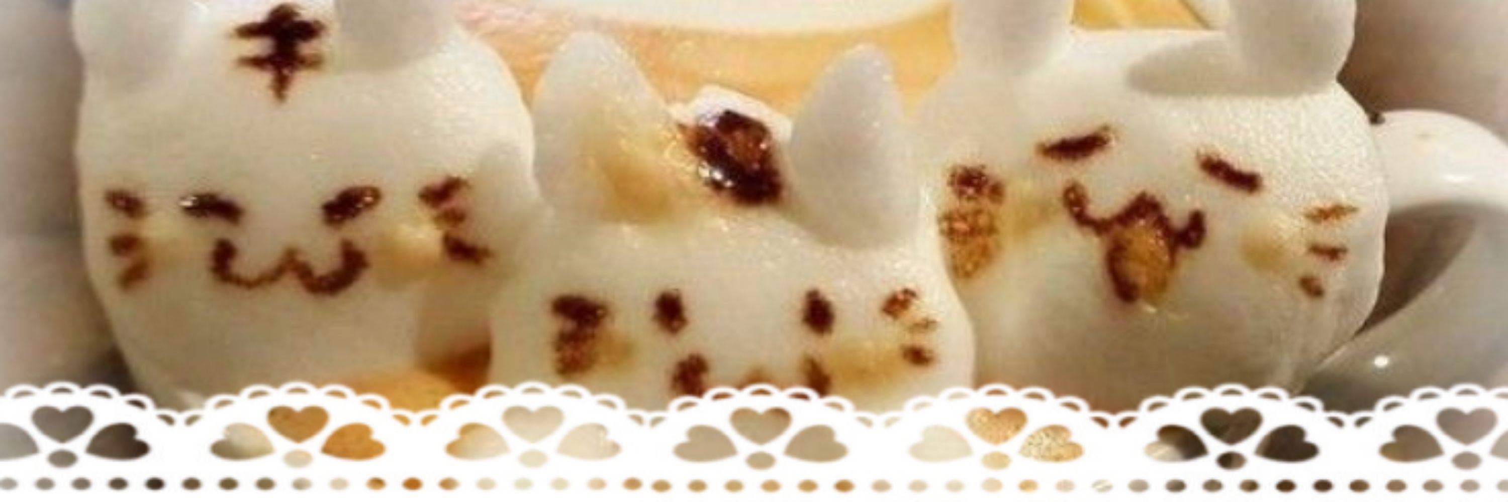 ♯┆Dollynho  .ᐟ ★