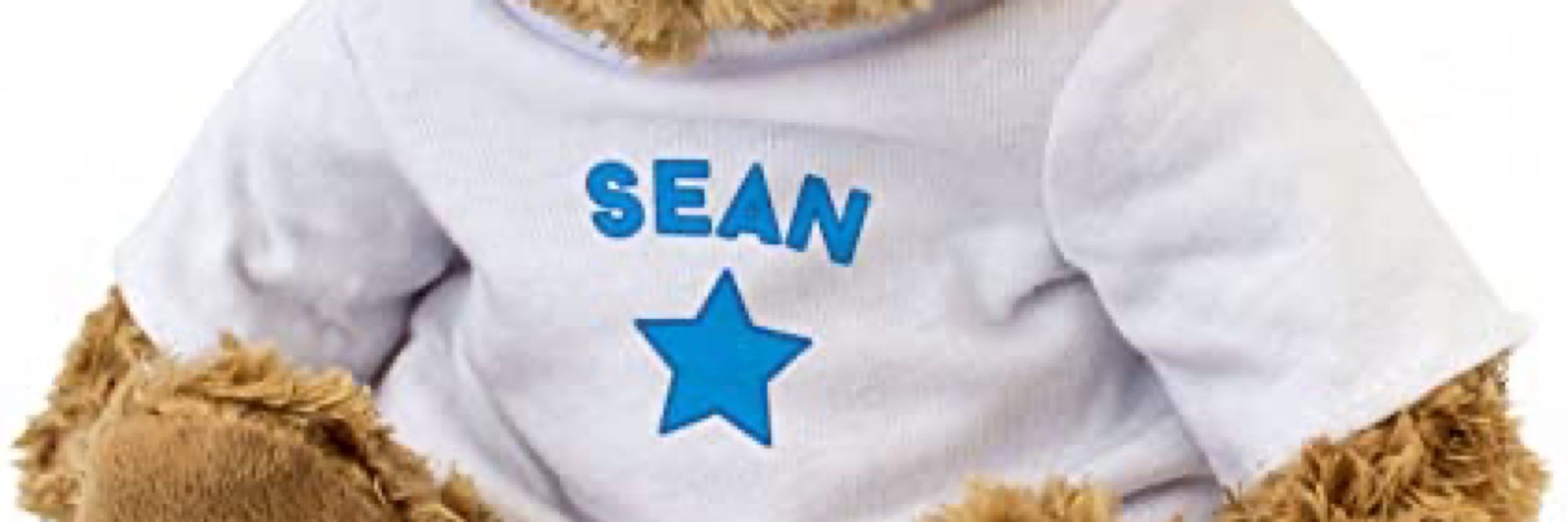 seanbagel 