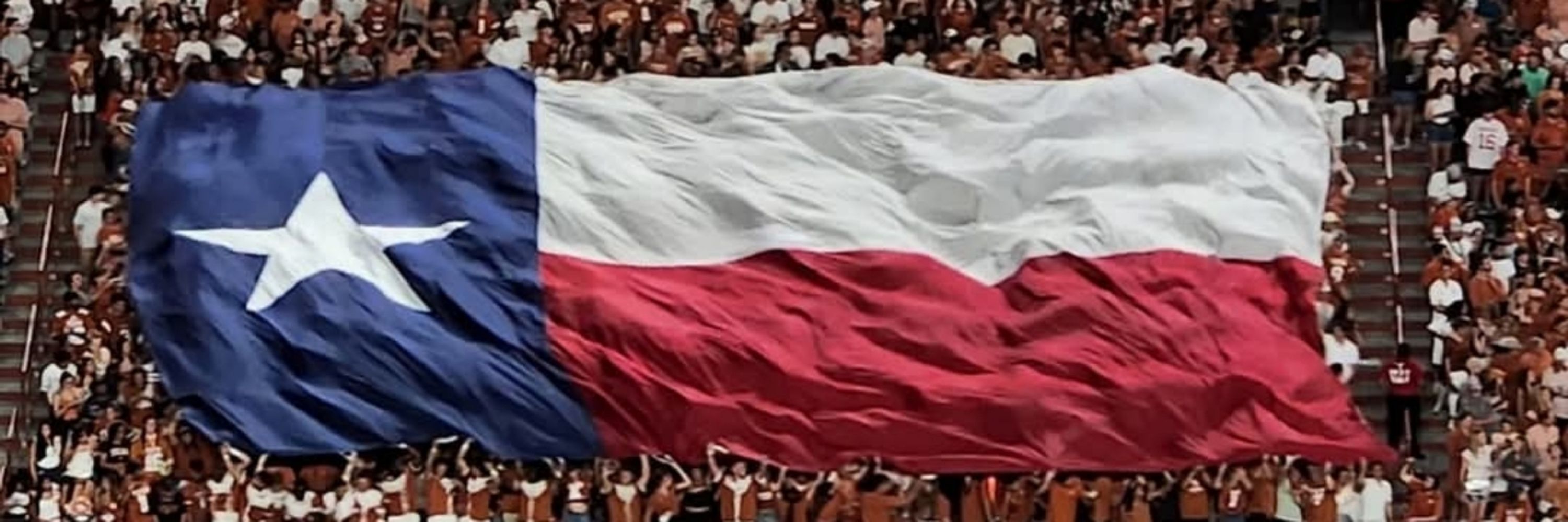 TexZenTea