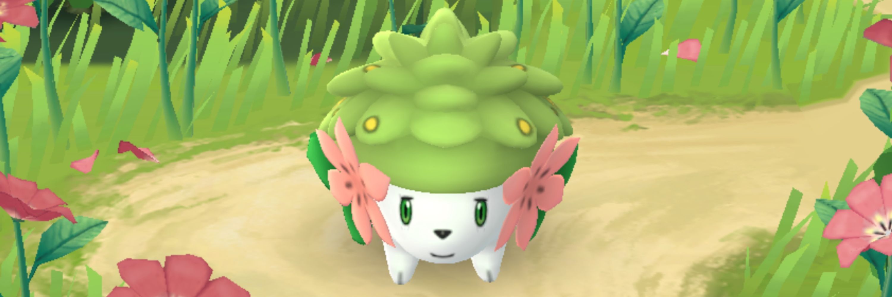 mothsie