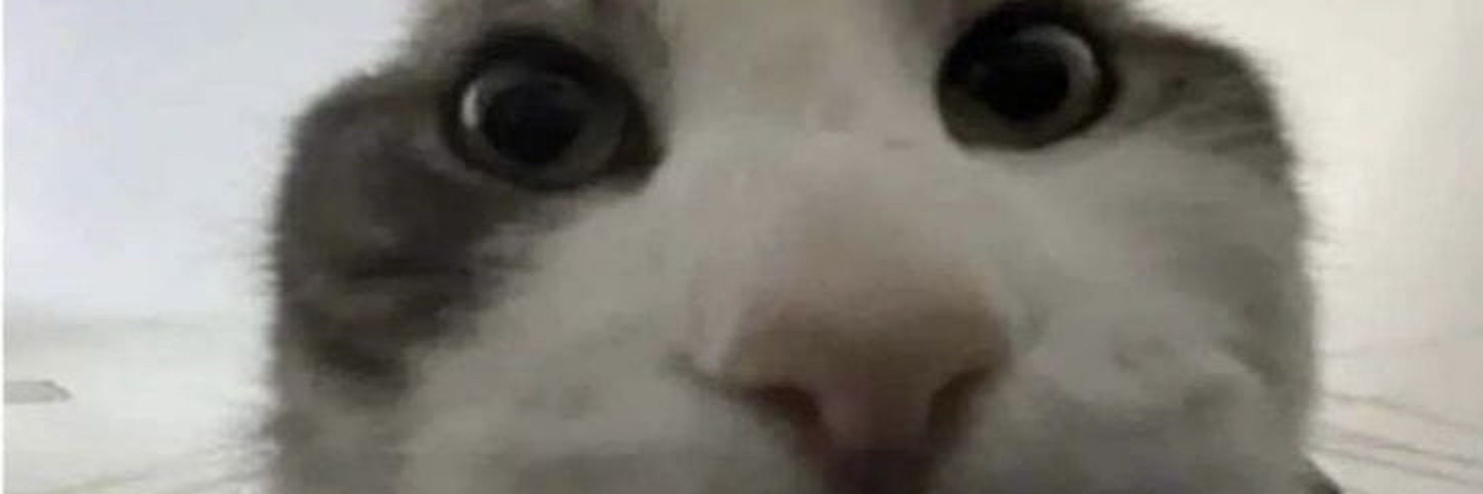 M3lkk