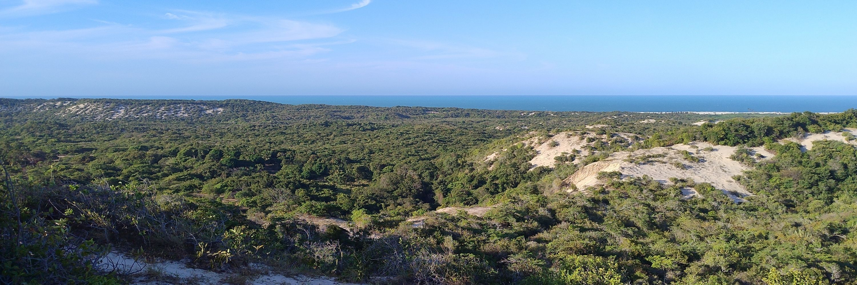 Cajuí