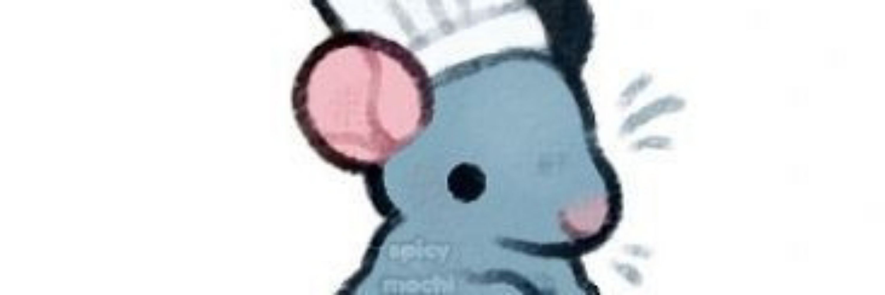 Nunny cat
