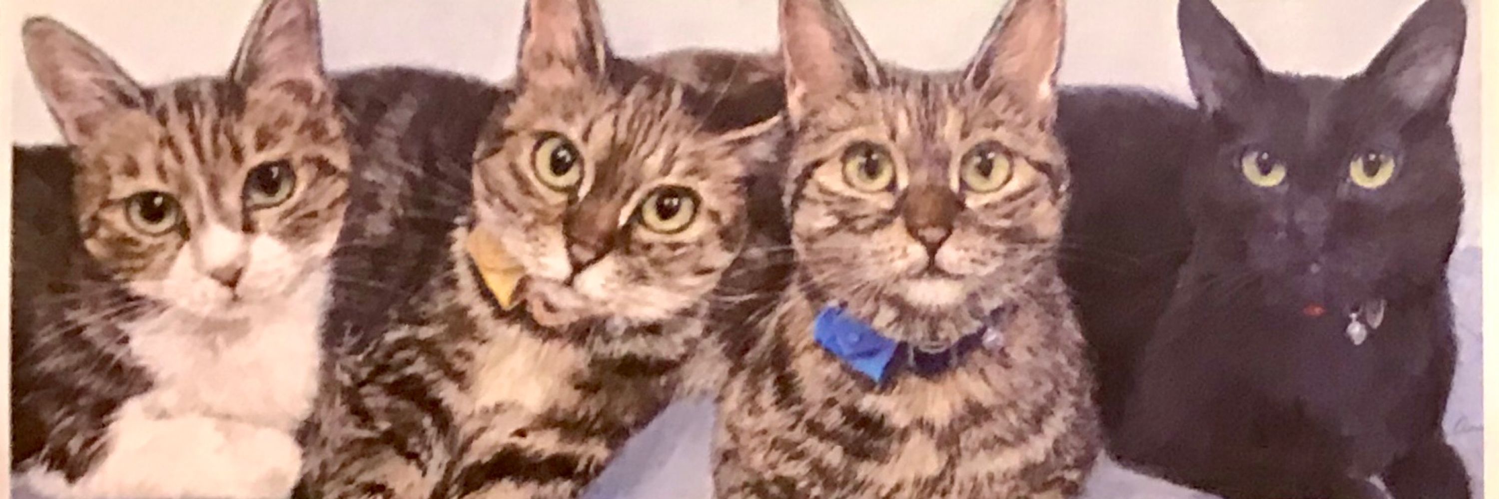 キャッツミャウブックス®