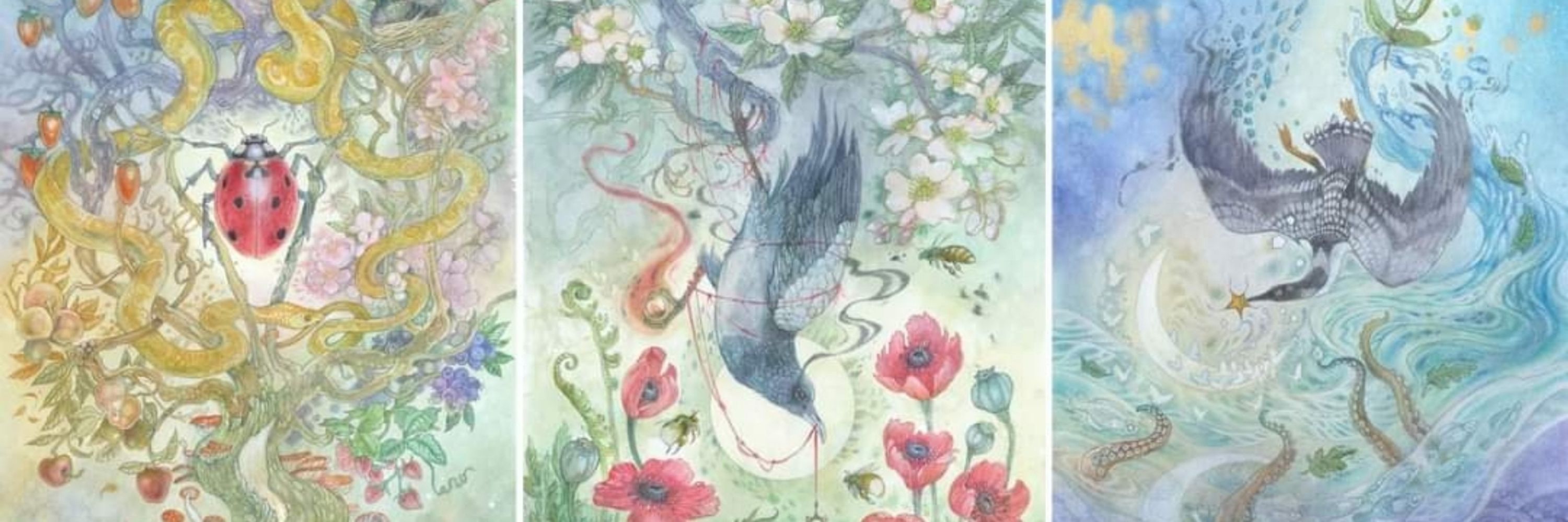 Stephanie Law