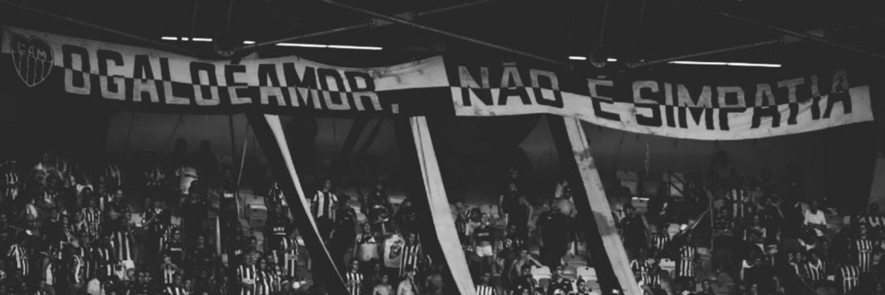 pedro marinho 