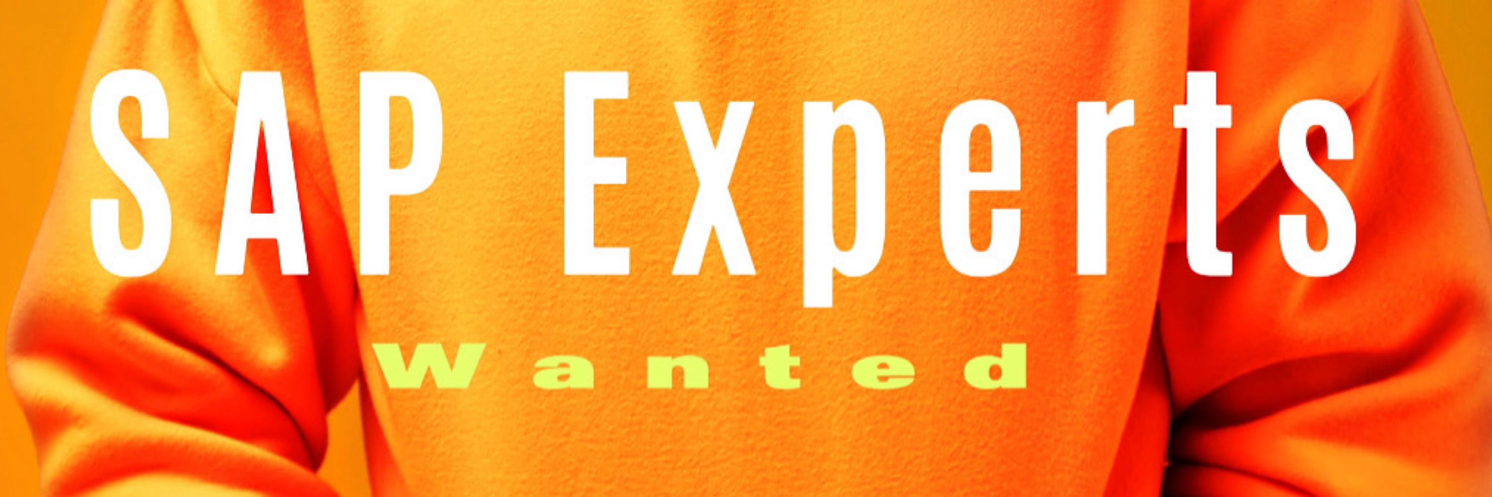 SAP® Recruiting S4-Experts