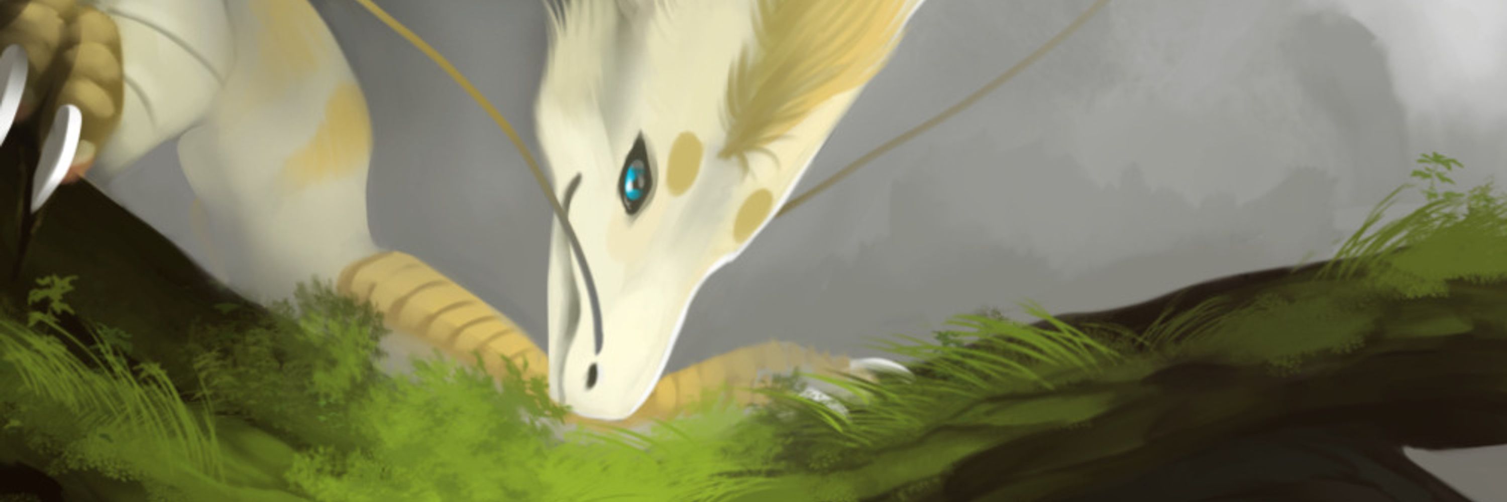 Feiryn