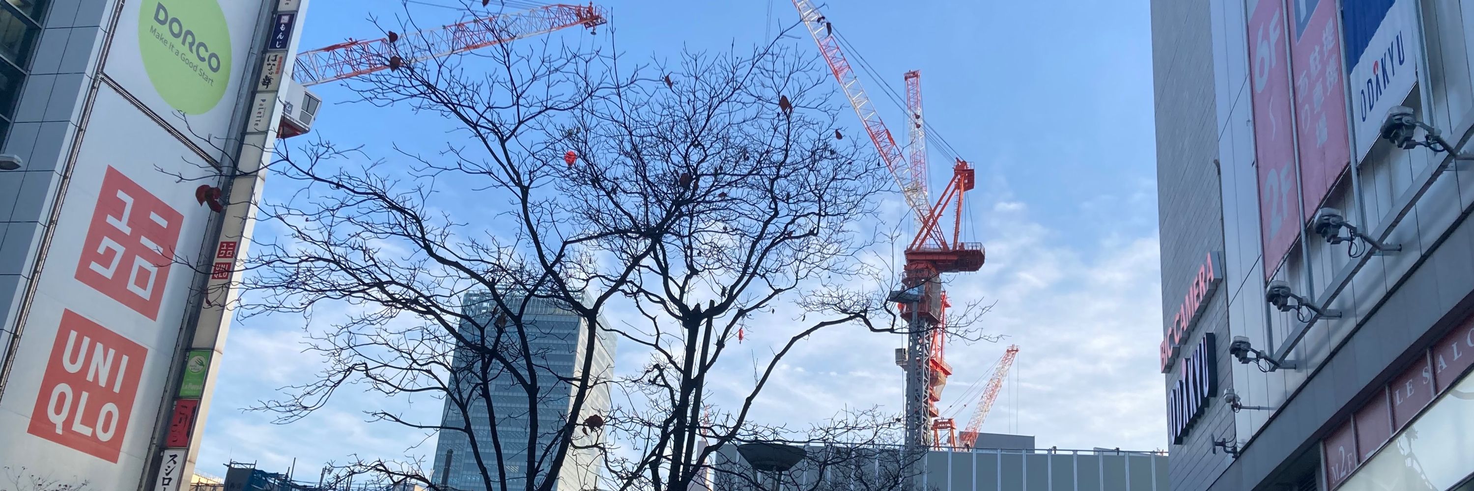 よもぎ
