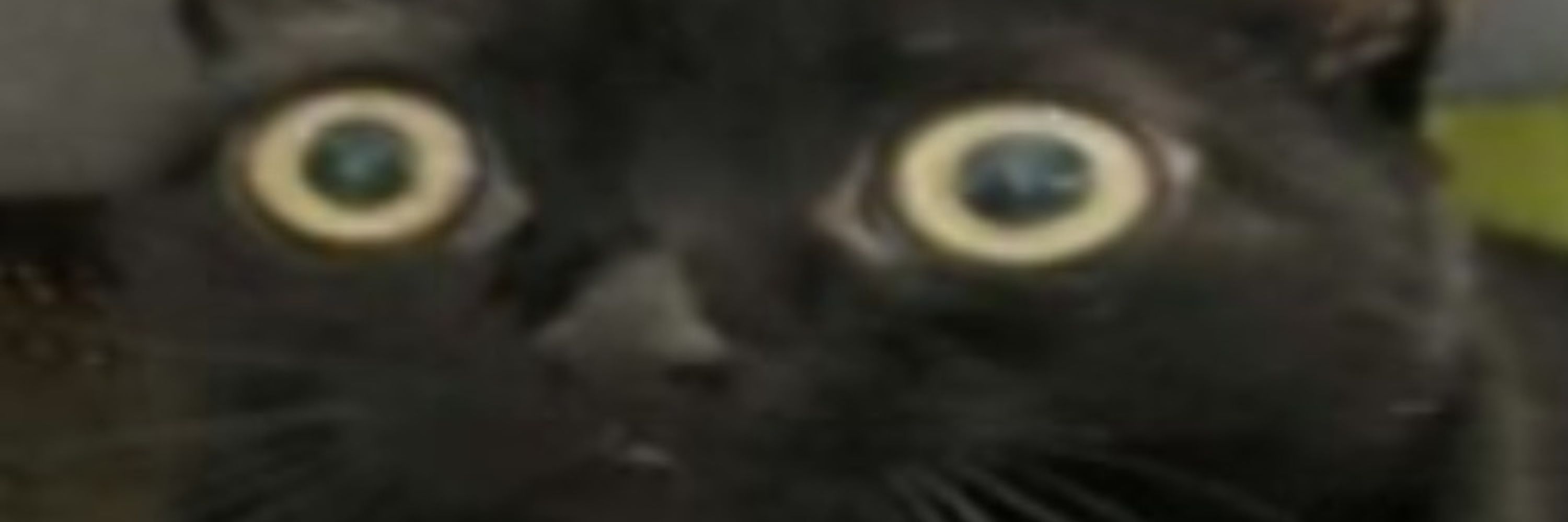 jon