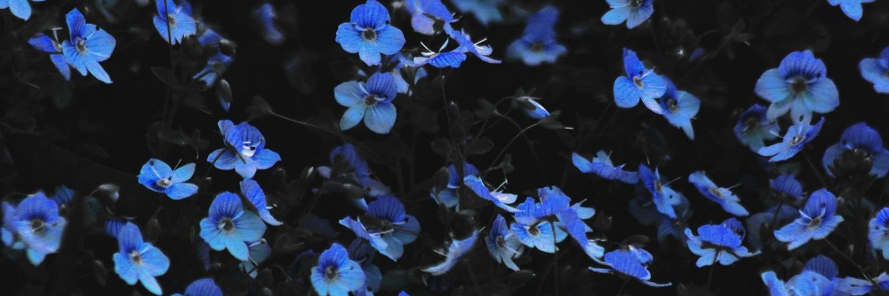 azuremure