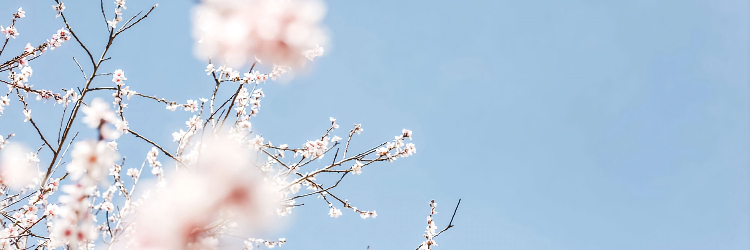 리리