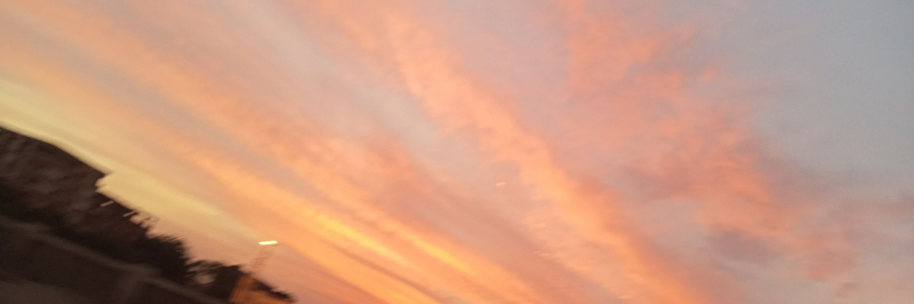 آلاء الصياد