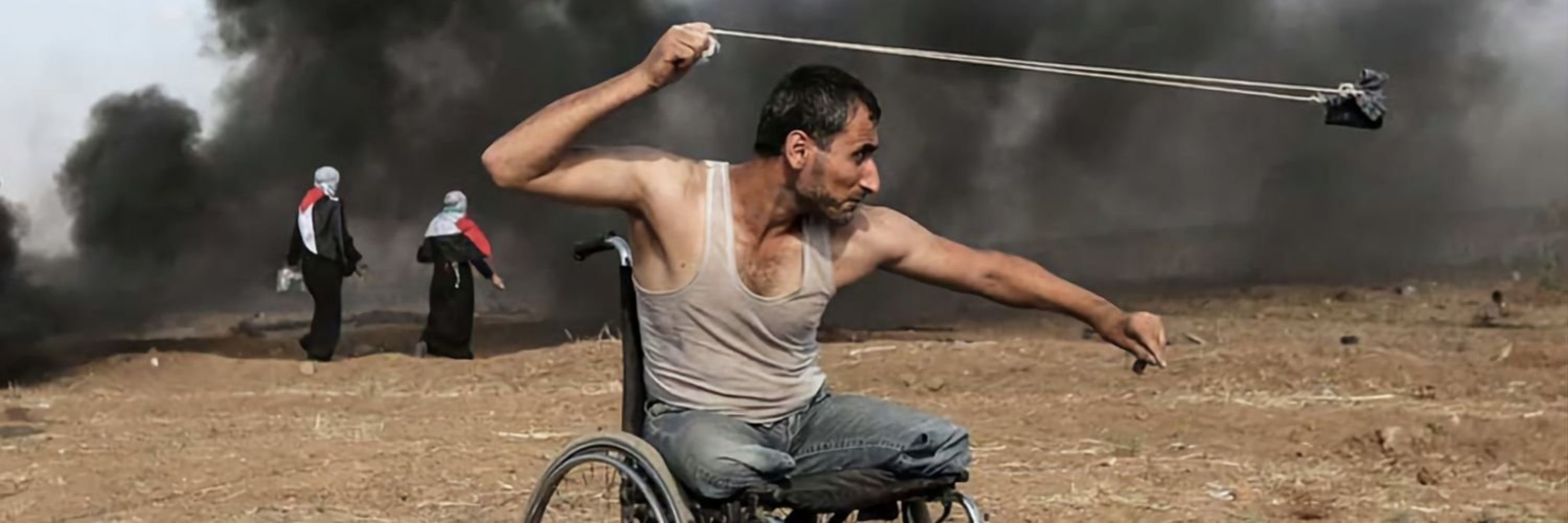 Cris Mantovani 🇵🇸 🏳️‍🌈🚩