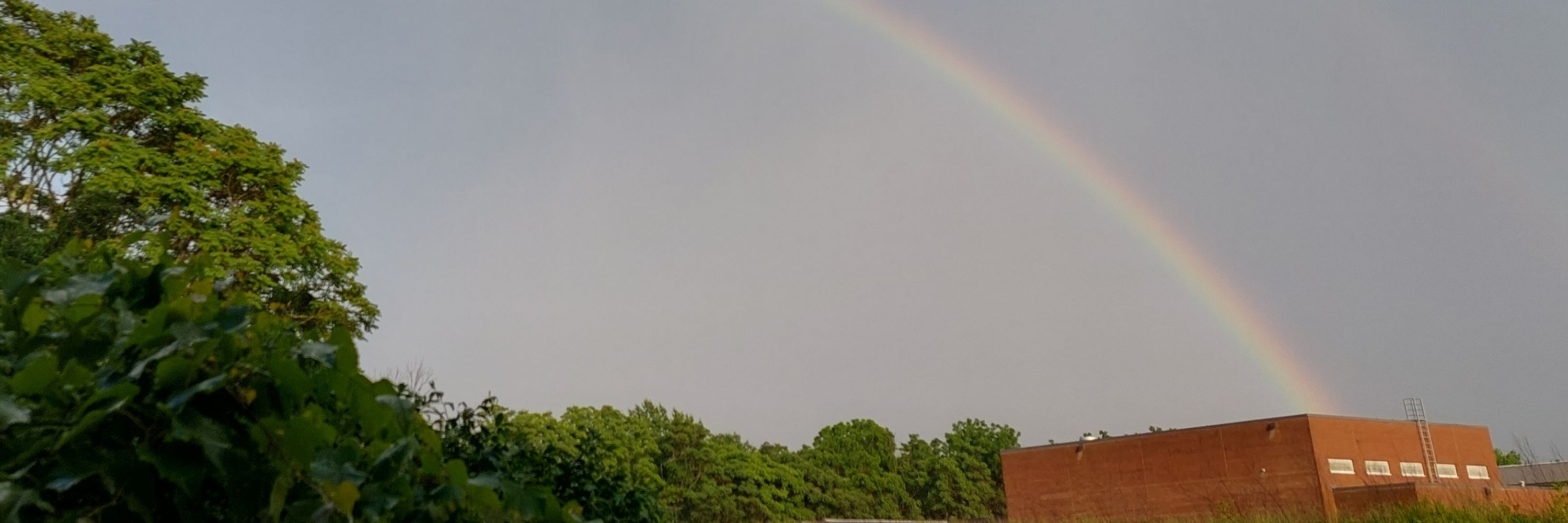 Community Allies of Rainbow Youth