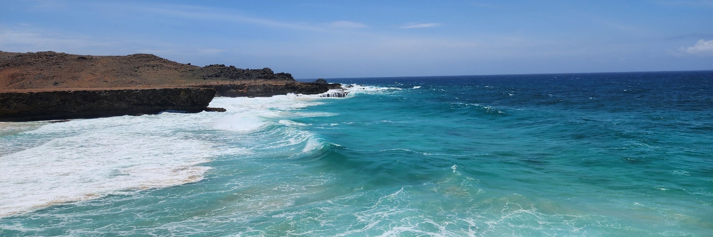 401-Sea-Life