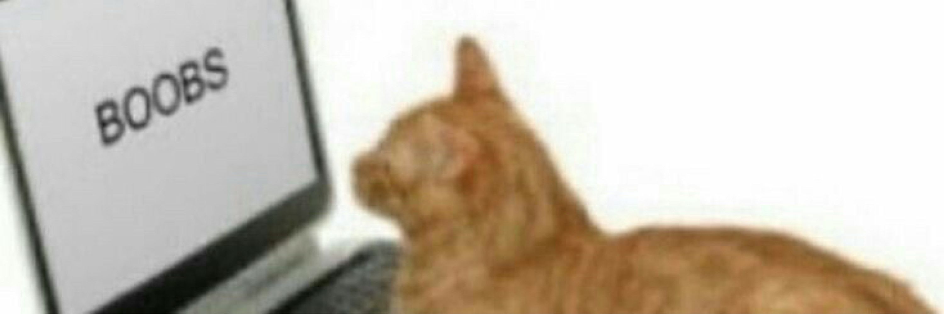 qin
