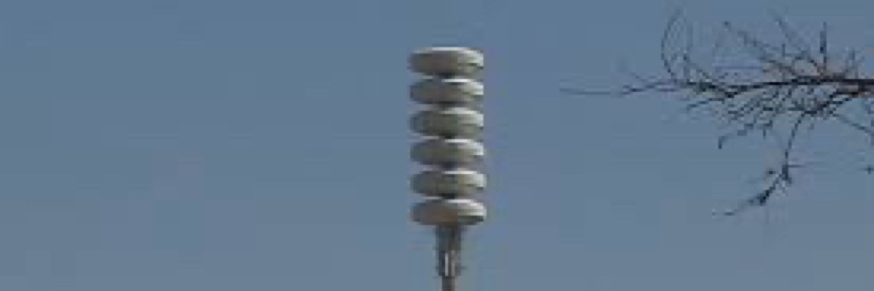 Yai