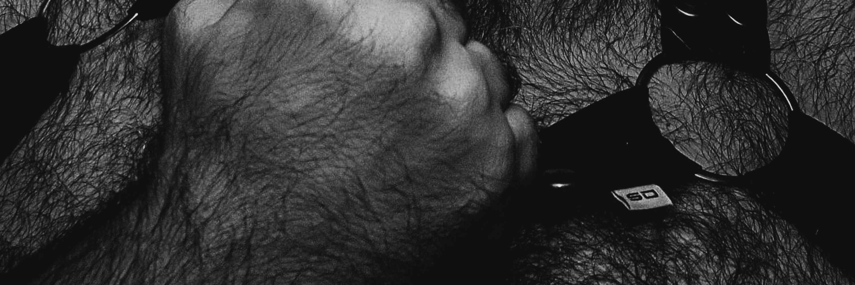 Urso Hairy 🔞