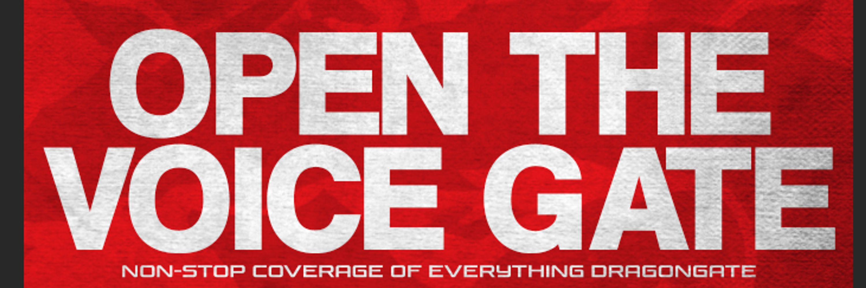Open The Voice Gate 🤼🐉