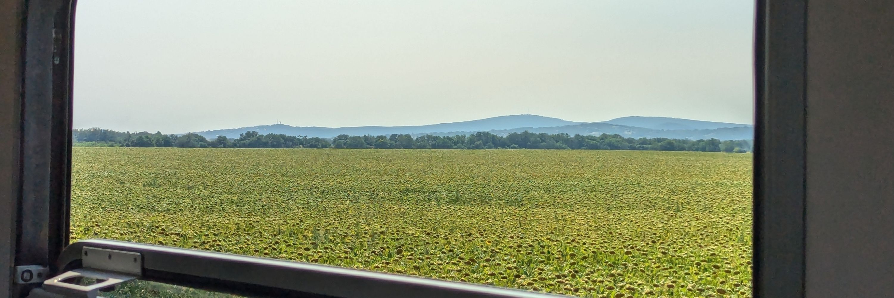 Nefau