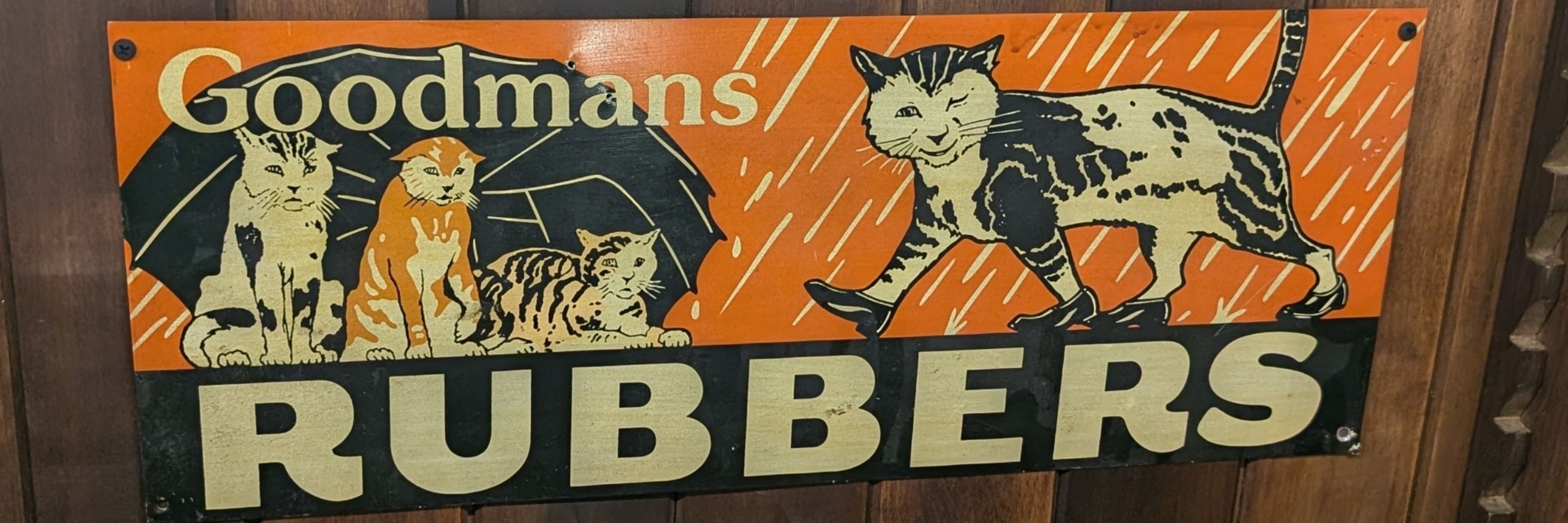 ChillyKitty36