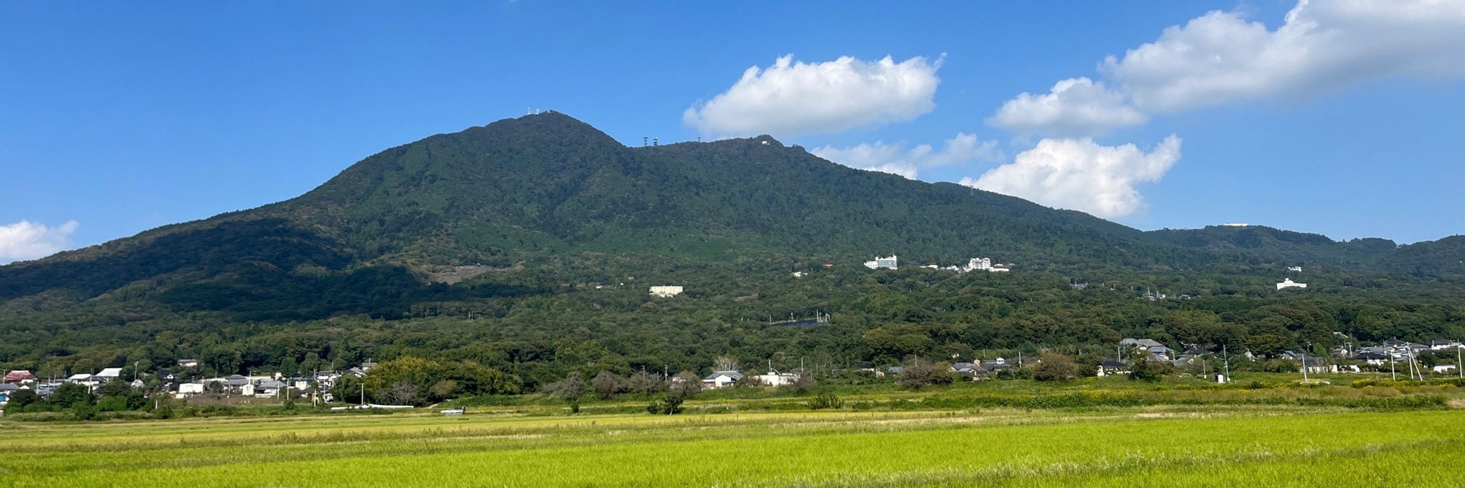 あにあに