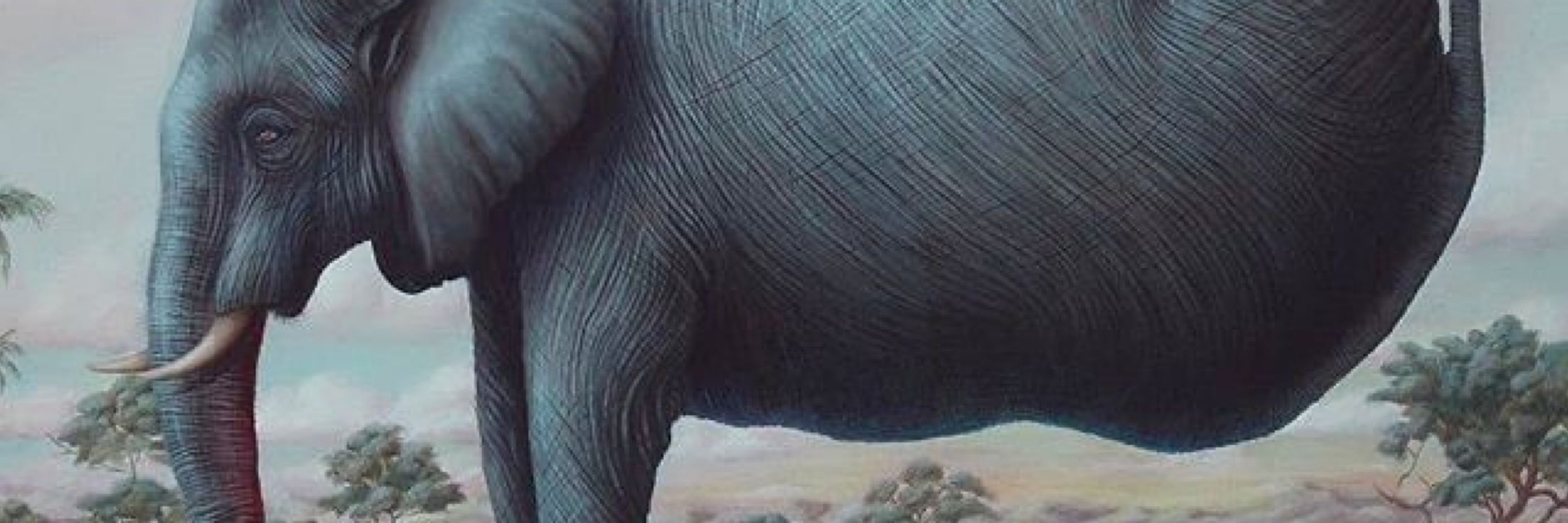 Elephant standing on its trunk