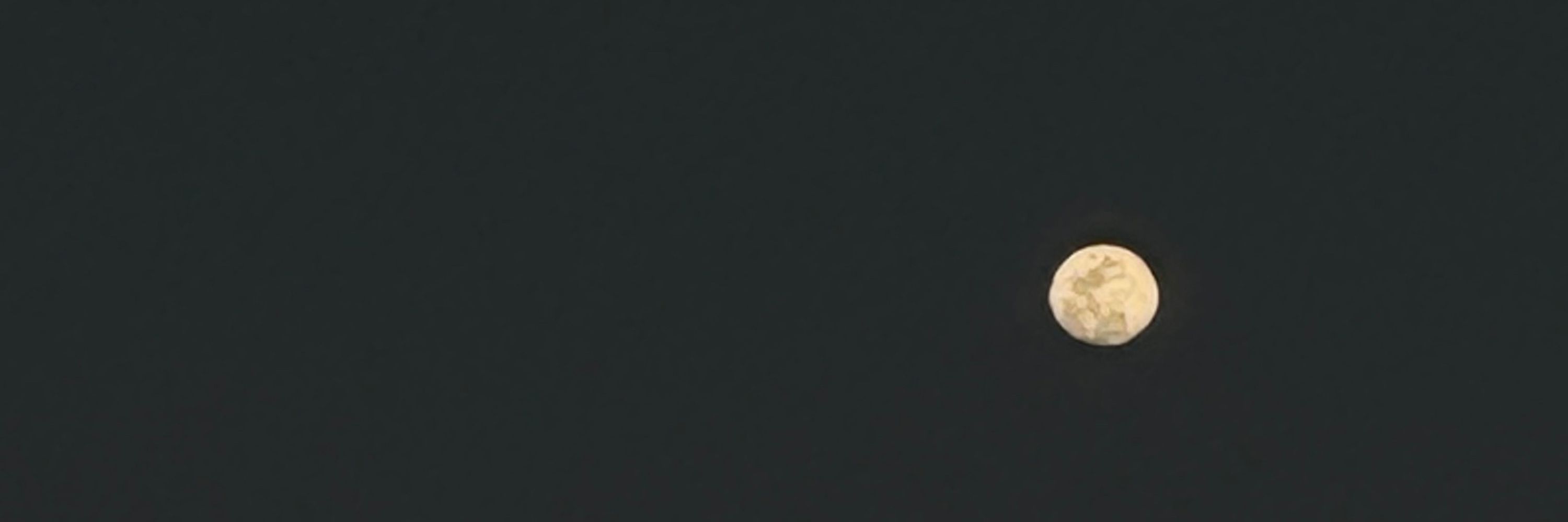 𝗝𝗮𝘆𝗱𝗮
