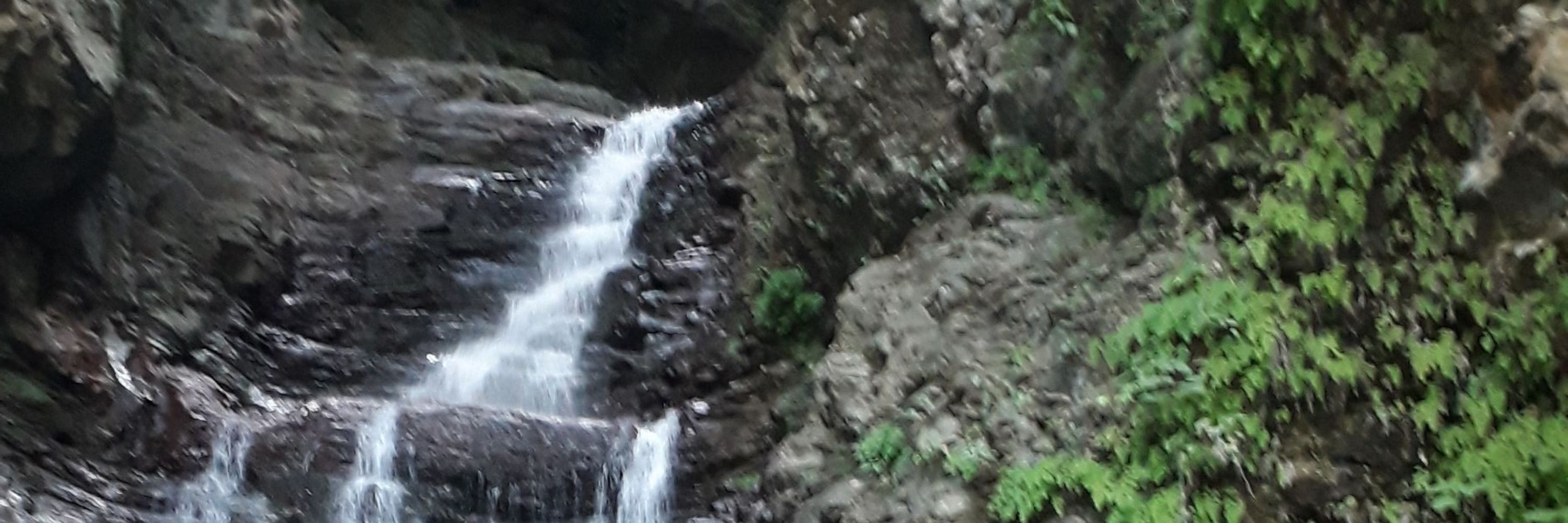 شوهر مونا