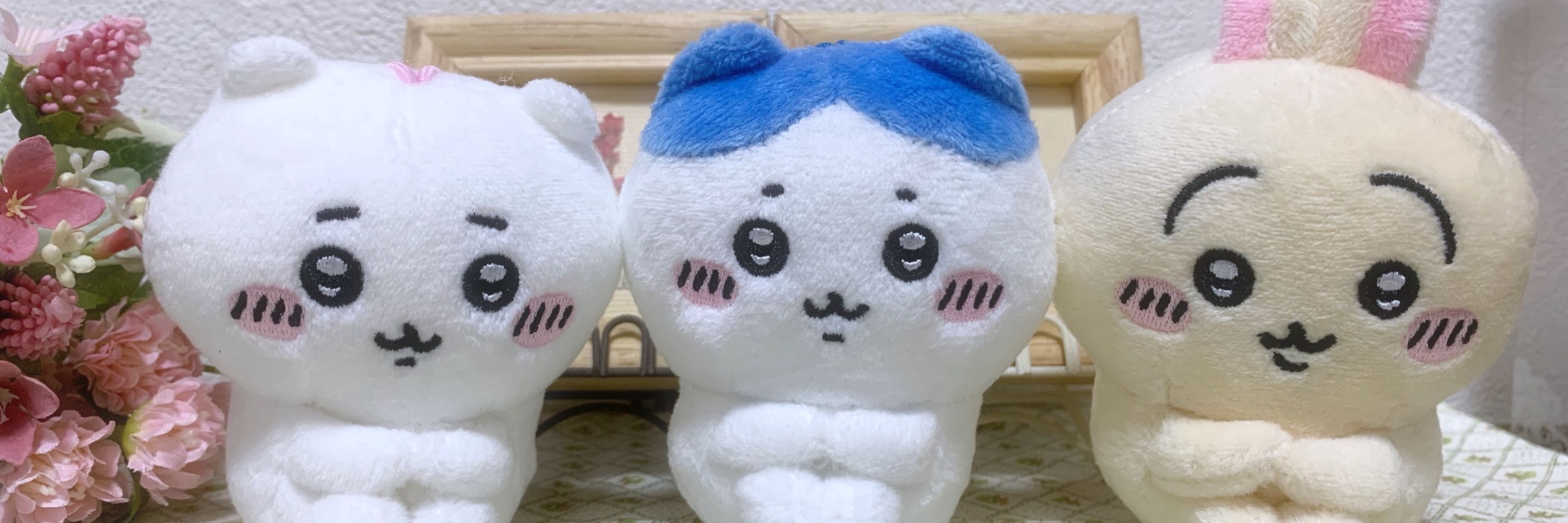 わた実