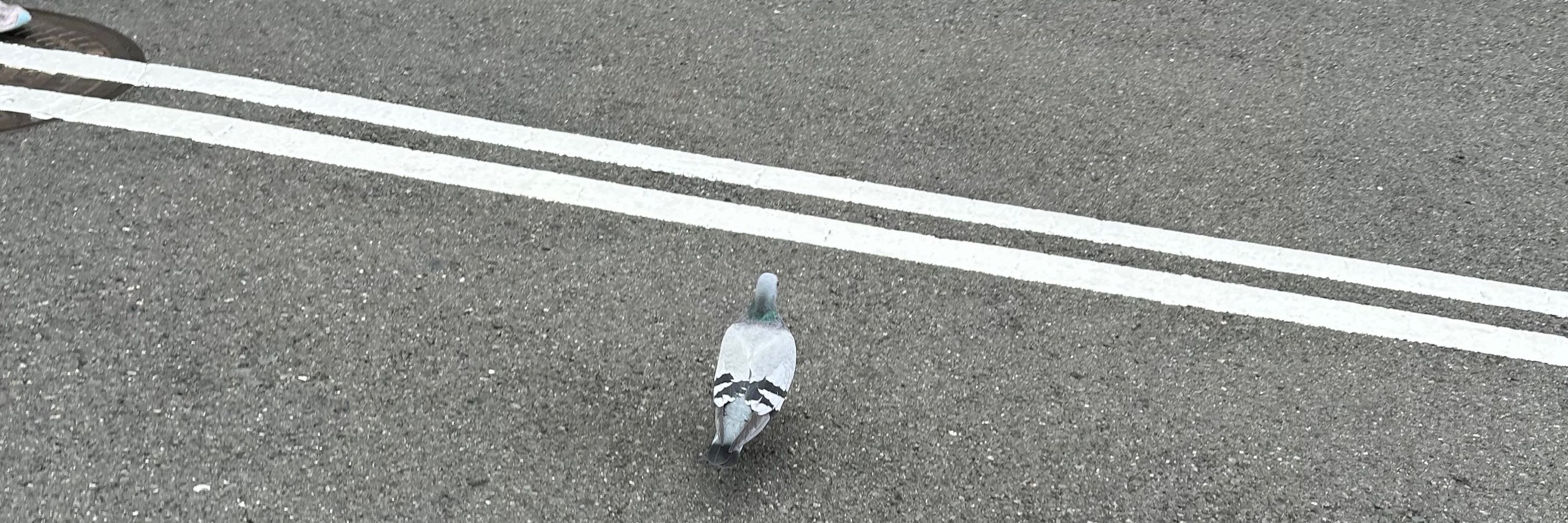 みそに