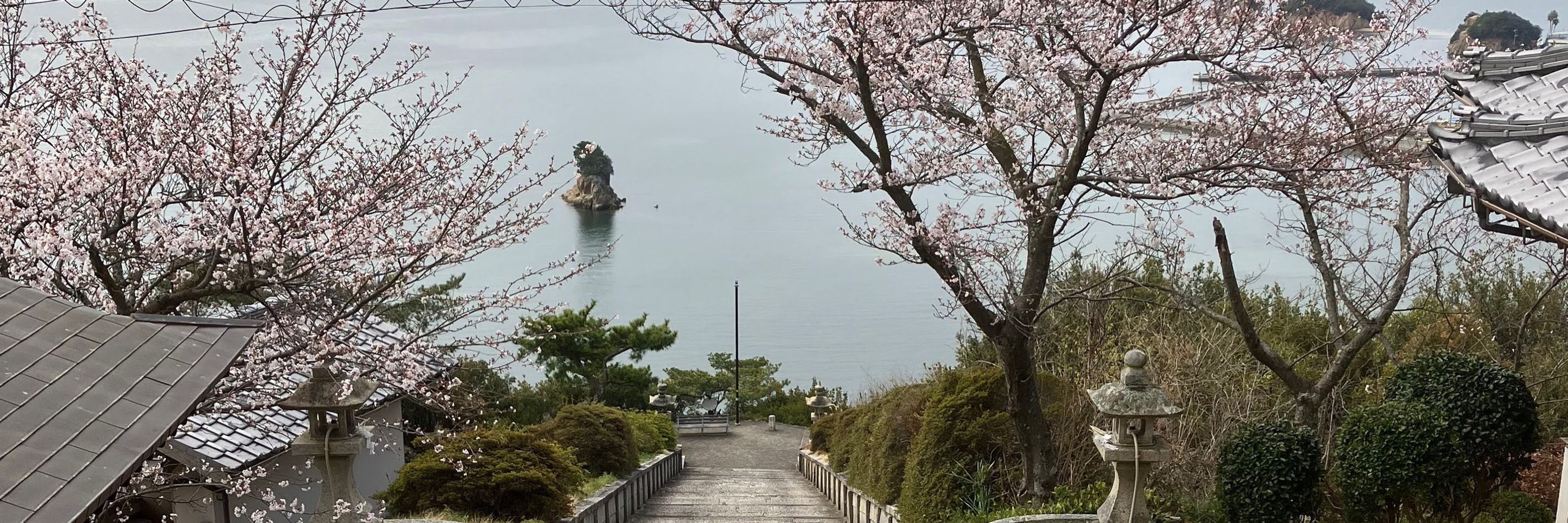 ひろせ