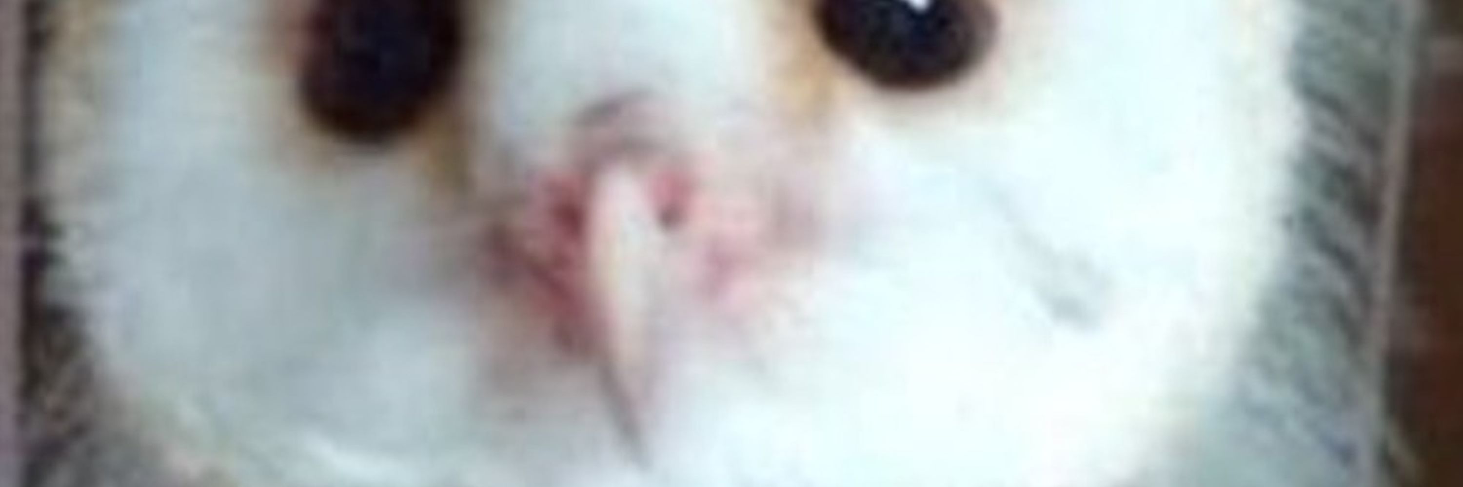 Nick