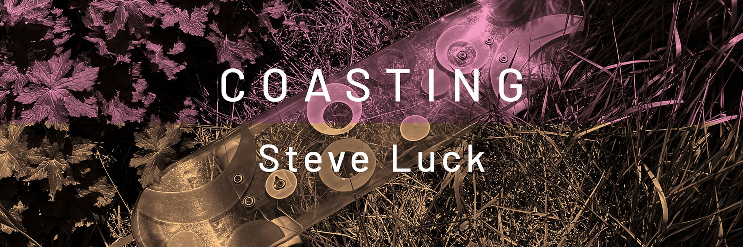 Steve Luck