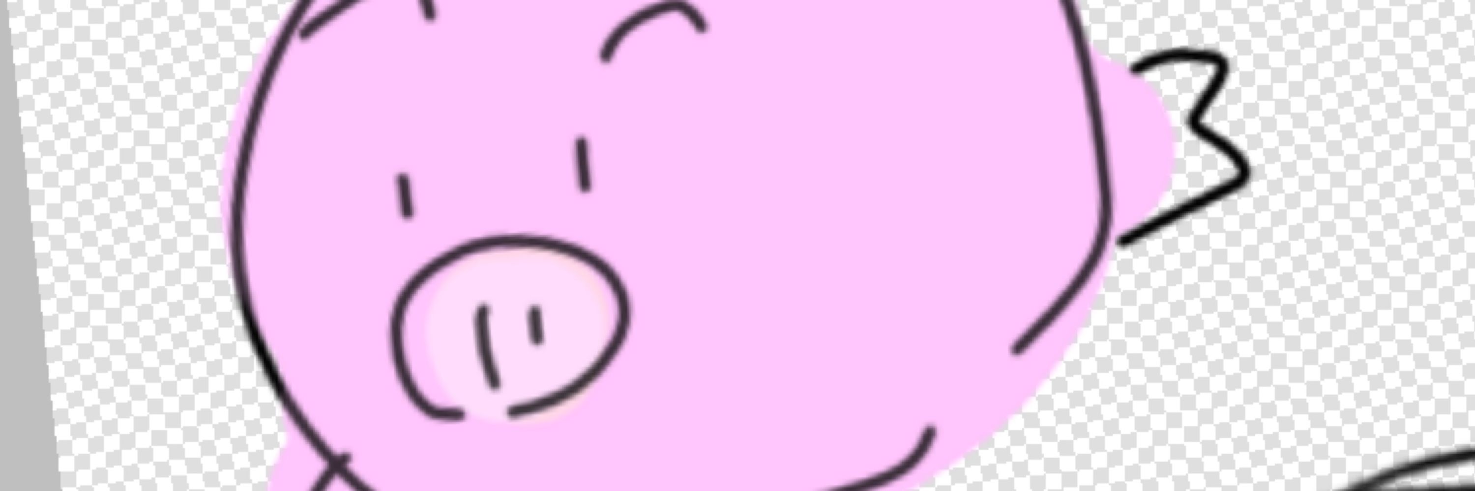 蜜柑ミカン
