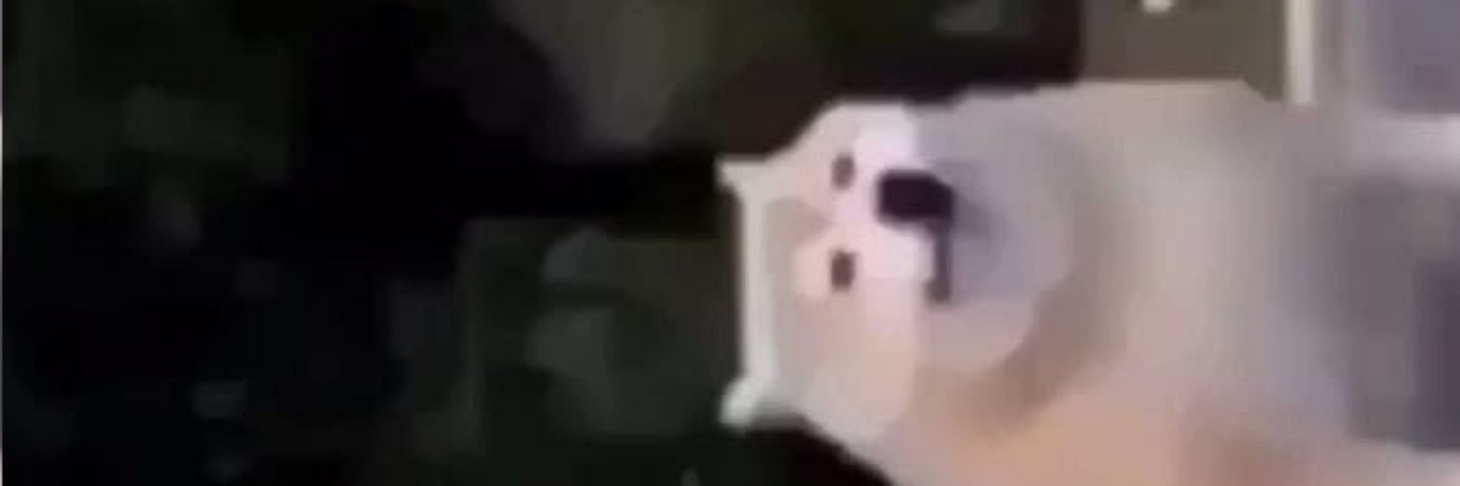 J I N J I N